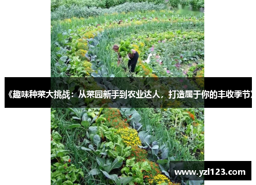 《趣味种菜大挑战：从菜园新手到农业达人，打造属于你的丰收季节》