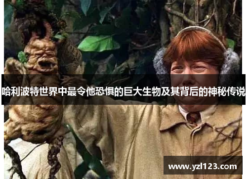 哈利波特世界中最令他恐惧的巨大生物及其背后的神秘传说